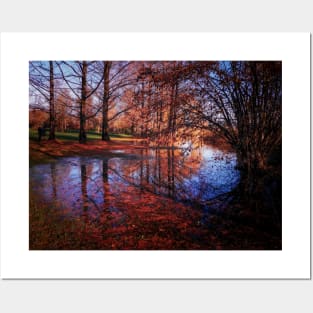 tree reflection in water, autumn fallen leaves Posters and Art